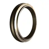 Cutting Ring Dn 210 — Schwing 10063939 - 7054223031500