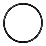 O-Ring 100X5 — Schwing 10001113