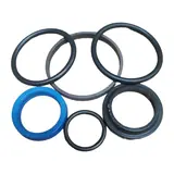 PİSTON HYDRAULİC KIt — Massey Ferguson 3604046M91