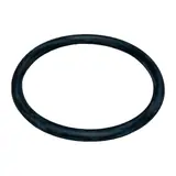 O-Ring 95X8 — Schwing 10016241