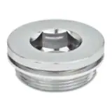 Screw Plug — MAN 6080420609