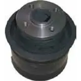Piston Ram Dn 200 — Putzmeister 01900400