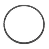 O-Ring 170.81X7 — Putzmeister 069042009