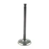 Inlet Valve — Massey Ferguson 4224847M1