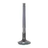 Exhaust Valve — Massey Ferguson 4224846M1