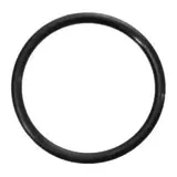 ORING 100x5 — Schwing 10001113