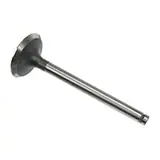 Intake Valve — Massey Ferguson 739027M1