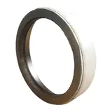 Wear Ring — Putzmeister 261123001-28518004